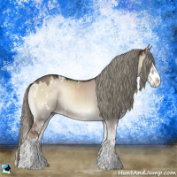 Horse Color:Liver Red Dun Onyx Mushroom Sabino Splash Rabicano