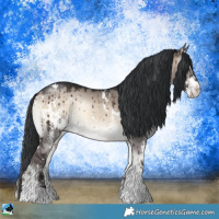 Horse Color:White Spotted Brown Onyx Mushroom Sabino Brindle 