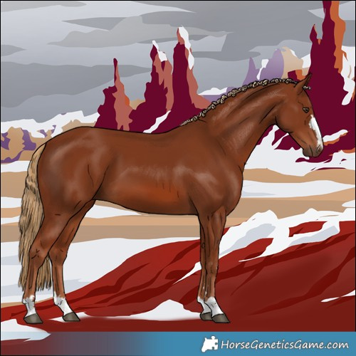Horse Color:Chestnut 