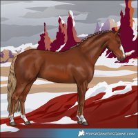 Horse Color:Chestnut 
