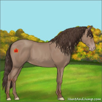 Horse Color:Classic Champagne 