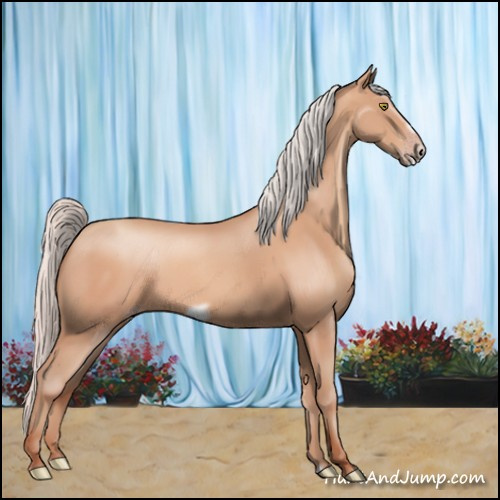 Horse Color:Silver Amber Champagne Frame 
