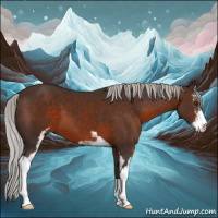 Horse Color:Silver Brown Mushroom Sabino 