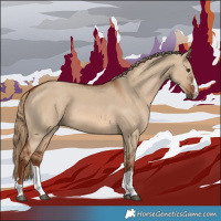 Horse Color:Red Dun 