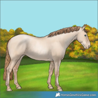 Horse Color:Gold Champagne Pearl Dun Rabicano  and Gold Champagne Pearl Dun Rabicano 