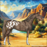Horse Color:Liver Red Dun Appaloosa Brindle 