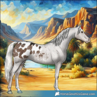 Horse Color:Liver Red Dun Mushroom Appaloosa Brindle