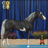 Horse Color:Liver Chestnut Mushroom 
