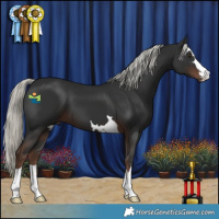 Horse Color:Liver Chestnut Mushroom