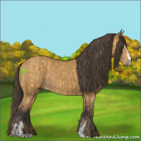 Horse Color:Buckskin Sabino Rabicano  and Buckskin Sabino Rabicano 