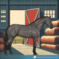 Horse Color:Grullo 