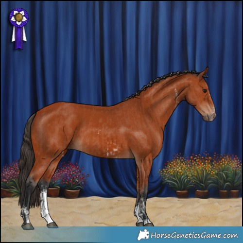 Horse Color:Bay Sabino Rabicano and Bay Sabino Rabicano