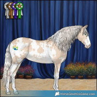 Horse Color:White Spotted Cremello 