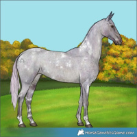 Horse Color:Watercolor White Spotted Midnight Chocolate Palomino Ice Roan Varnish 