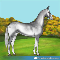 Horse Color:Silver Blue Onyx Chinchilla 