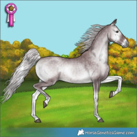 Horse Color:Chocolate Silver Blue Onyx Chinchilla 