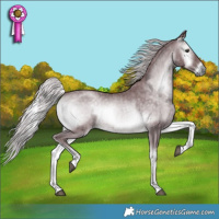 Horse Color:Chocolate Silver Blue Onyx Chinchilla 