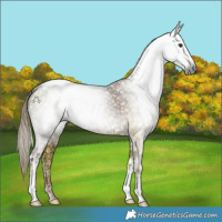 Horse Color:Gray Red Dun Ice Tobiano 