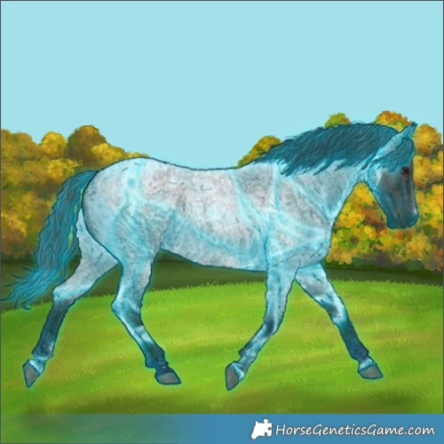 Horse Color:Thunderstruck White Spotted Midnight Bay Ice Roan Dun 