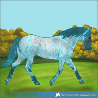 Horse Color:Thunderstruck White Spotted Midnight Bay Ice Roan Dun 