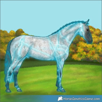 Horse Color:Thunderstruck White Spotted Midnight Bay Ice Roan Dun 