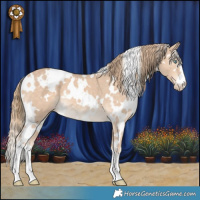 Horse Color:White Spotted Perlino 