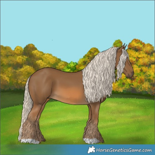 Horse Color:Chocolate Palomino 