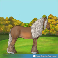 Horse Color:Chocolate Palomino 