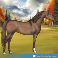 Horse Color:Liver Red Dun 