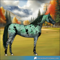 Horse Color:ERROR: UNKNOWN ANOMALY