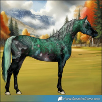 Horse Color:ERROR: UNKNOWN ANOMALY