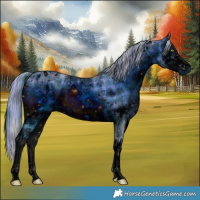 Horse Color:ERROR: UNKNOWN ANOMALY