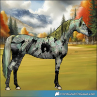 Horse Color:ERROR: UNKNOWN ANOMALY