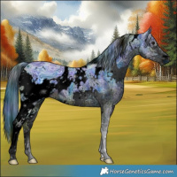 Horse Color:ERROR: UNKNOWN ANOMALY