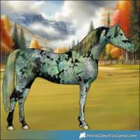 Horse Color:ERROR: UNKNOWN ANOMALY
