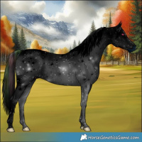 Horse Color:ERROR: UNKNOWN ANOMALY