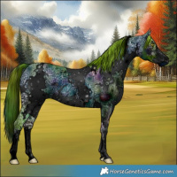 Horse Color:ERROR: UNKNOWN ANOMALY