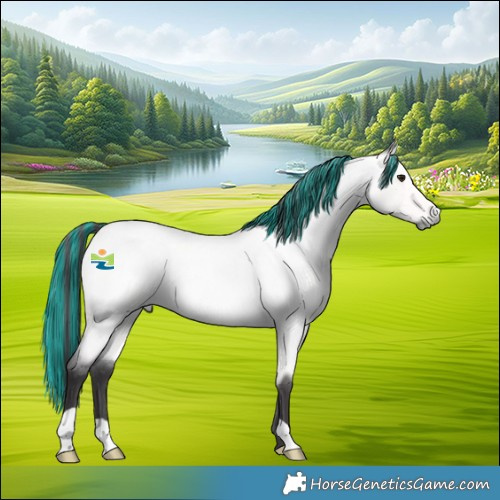 Horse Color:Platinum Painted Buckskin Roan 