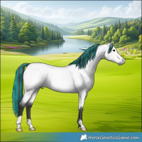 Horse Color:Platinum Painted Buckskin Roan
