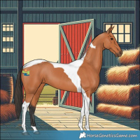 Horse Color:Bay Tobiano 