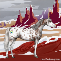 Horse Color:Silver Bay Sabino Appaloosa Rabicano 
