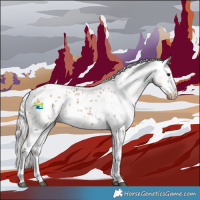 Horse Color:Silver Bay Dun Sabino Appaloosa 