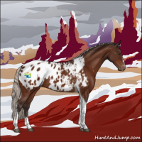 Horse Color:Silver Brown Tobiano Appaloosa 