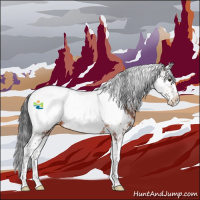 Horse Color:Brown Sabino Appaloosa 