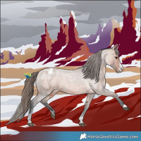 Horse Color:Bay Roan Sabino Appaloosa 