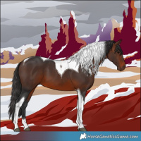 Horse Color:Brown Tobiano 
