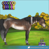 Horse Color:Brown Tobiano