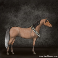 Horse Color:Bay Roan Sabino 
