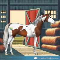 Horse Color:Chestnut Splash Tobiano 