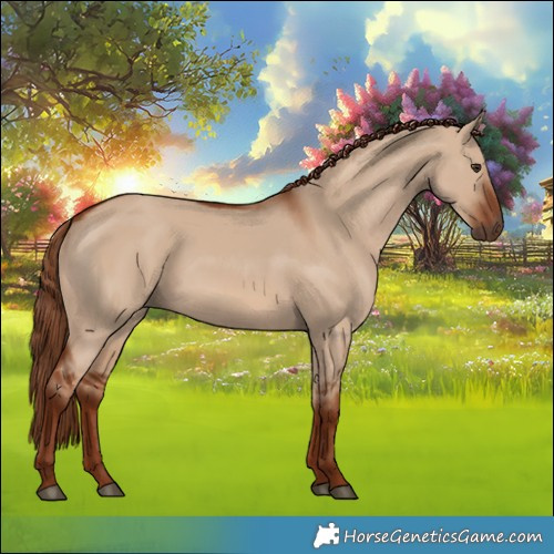 Horse Color:Red Dun 